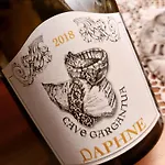 A' La Table Du Sommelier Saint-Vincent