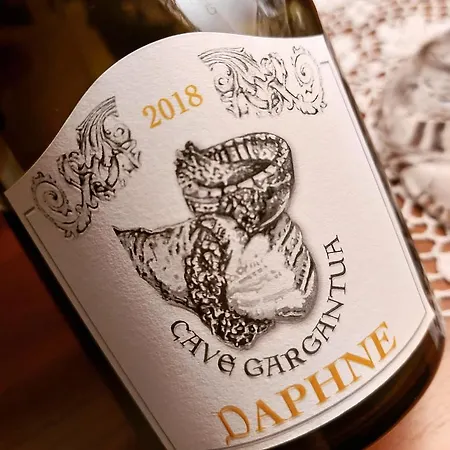 A' La Table Du Sommelier D Hotes 셍빈센트