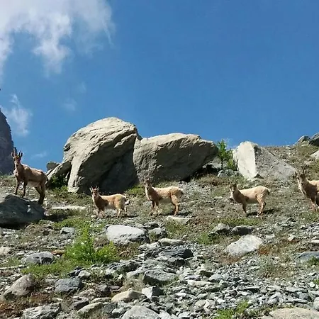 A' La Table Du Sommelier D Hotes Affittacamere
